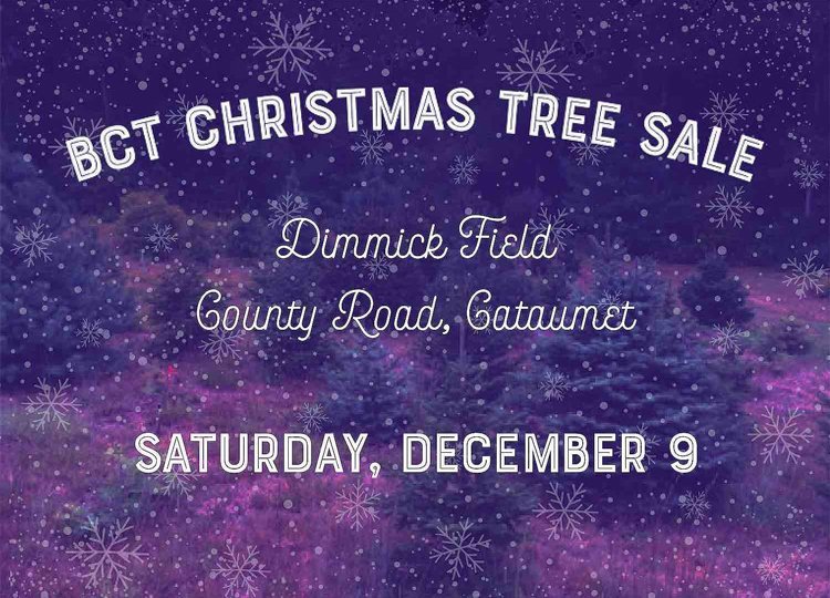 BCT Christmas Tree Sale 2017