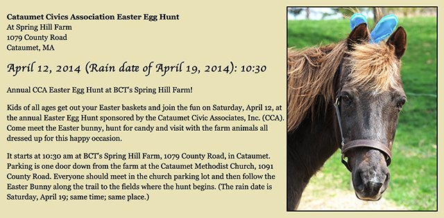 Easter Egg Hunt 2014