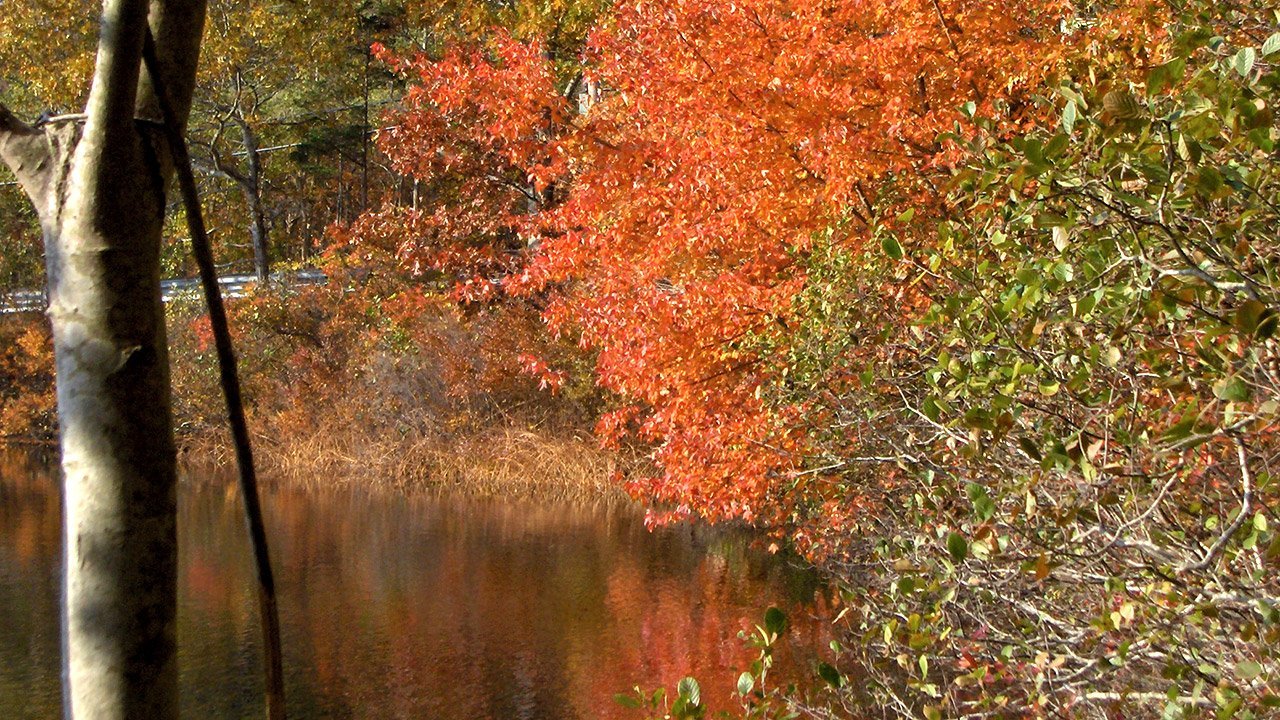 Red Brook Pond