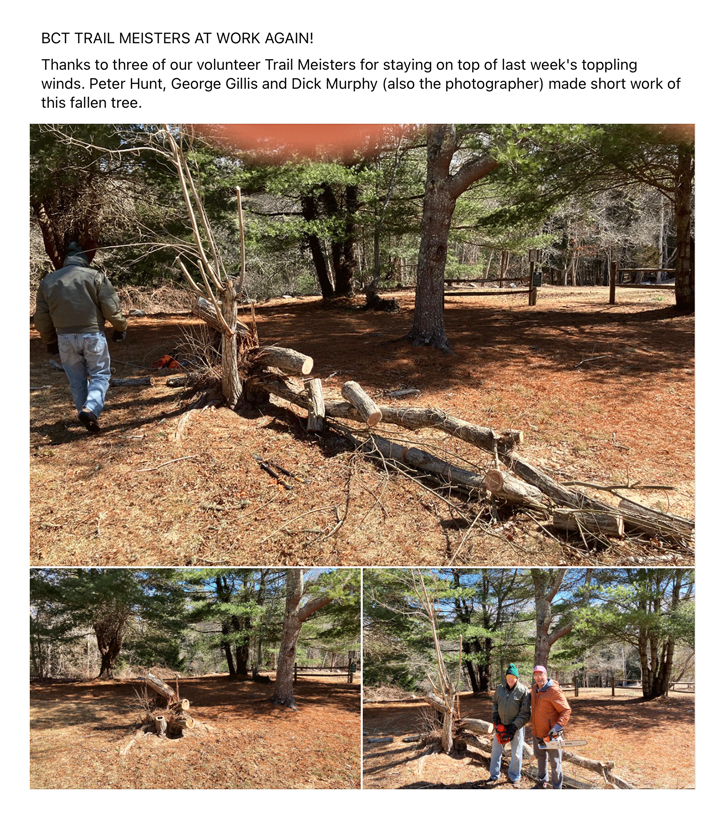 BCT Trail Meisters BCT Trail Meisters