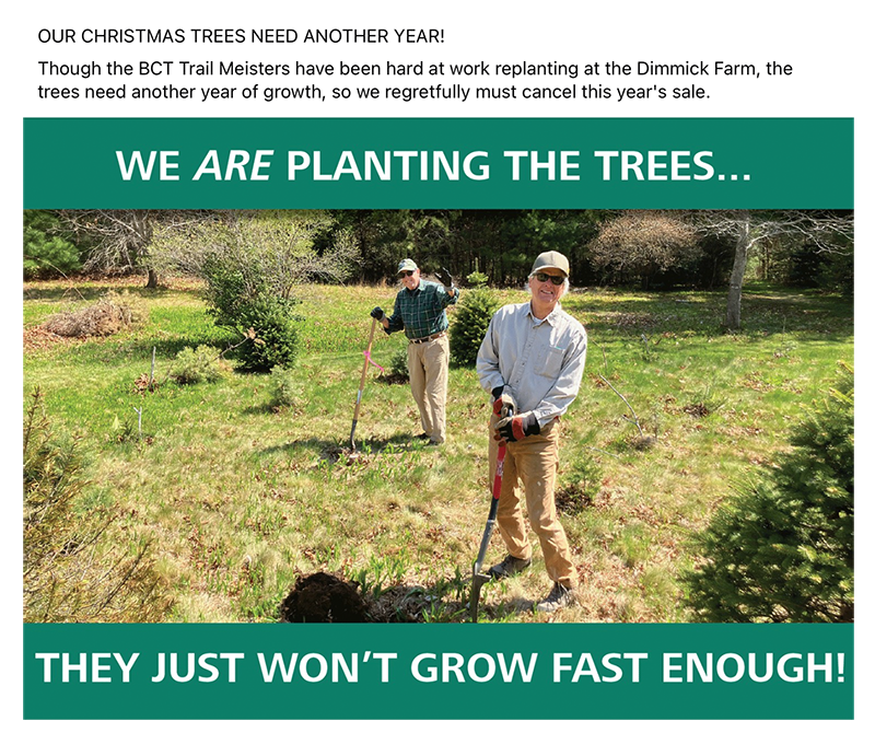 No Christmas trees this year! No Christmas trees this year!