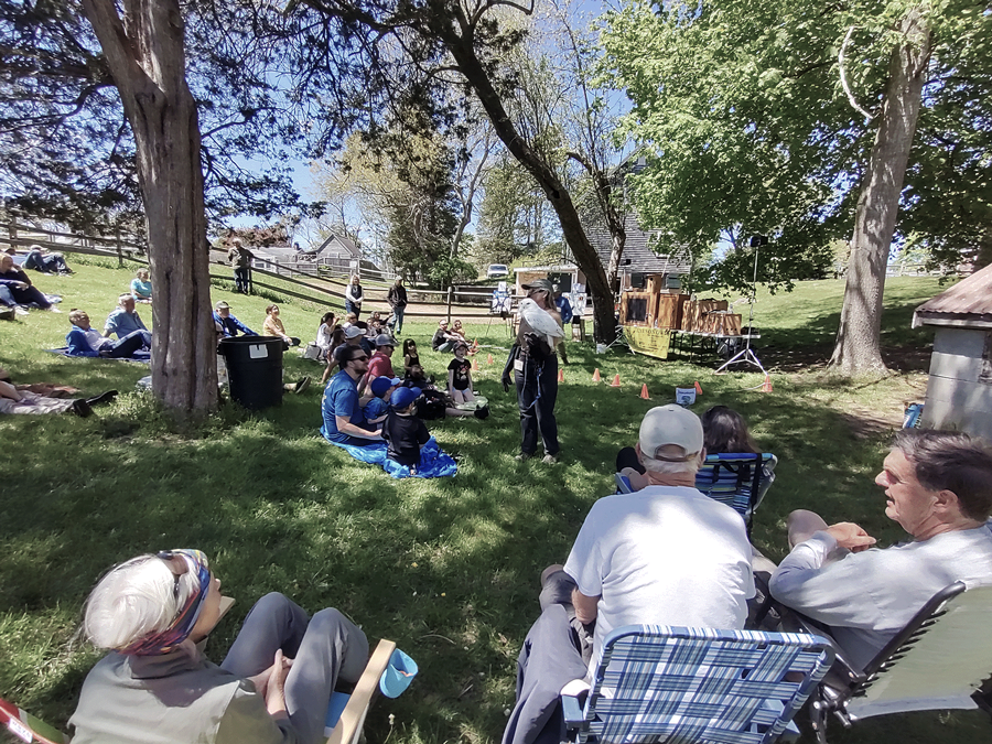 Eyes on Owls! Eye on Owls